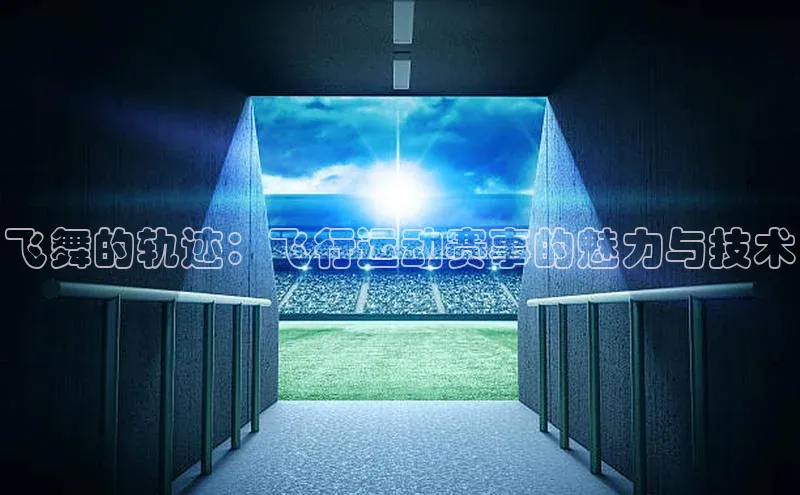 极悦娱乐网页版入口百度翻译App飞舞的轨迹：飞行运动赛事的魅力与技术