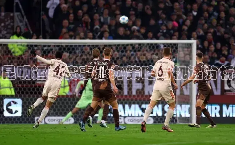 极悦官方网汉得信息昆明运动赛事承办策略与机遇分析