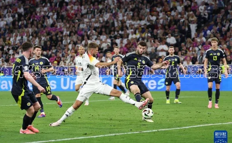 红牛携手赛事：推动运动文化的新篇章