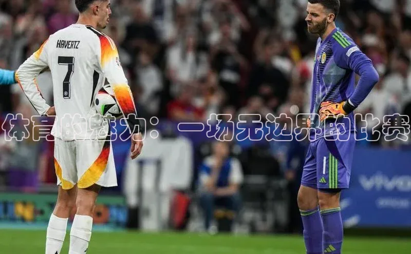 体育的魅力：一场无边界的比赛