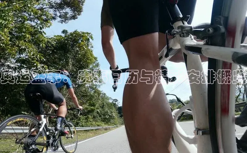 奥运盛事：赛事日历与精彩安排概览