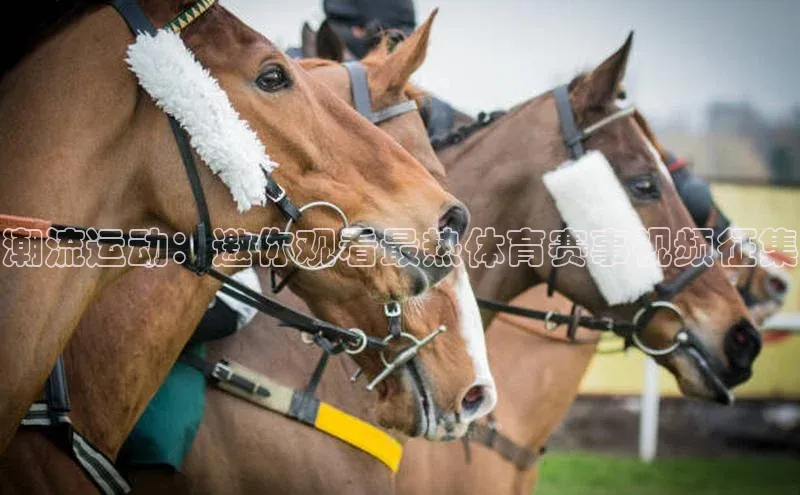 潮流运动：邀你观看最热体育赛事视频征集
