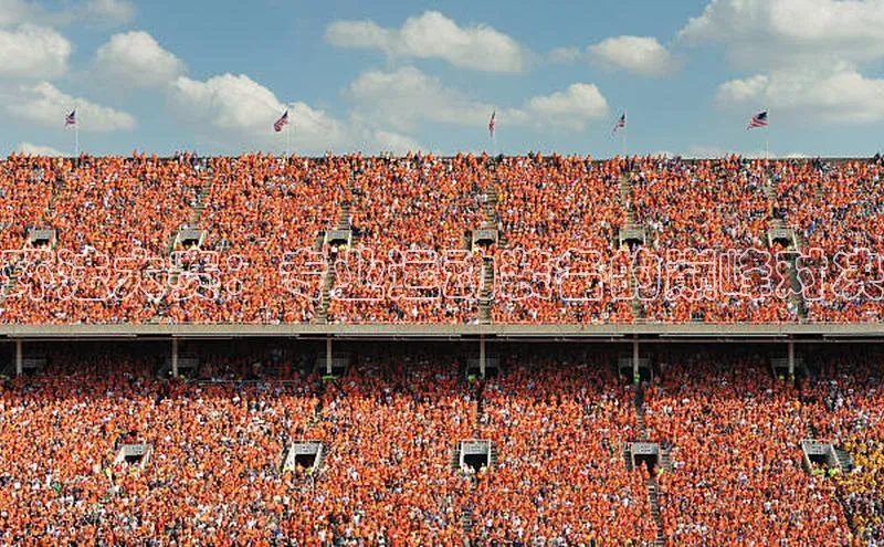 环法大赛：专业运动装备的巅峰对决