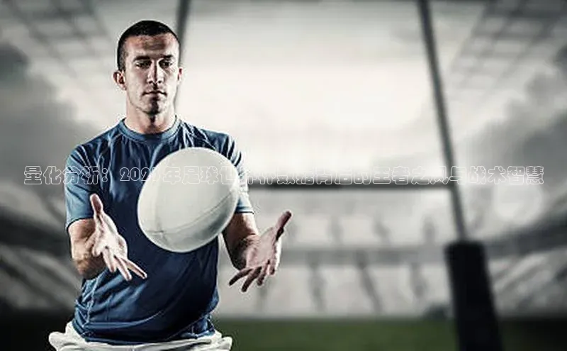 量化分析：2023年足球世界杯数据背后的王者之风与战术智慧