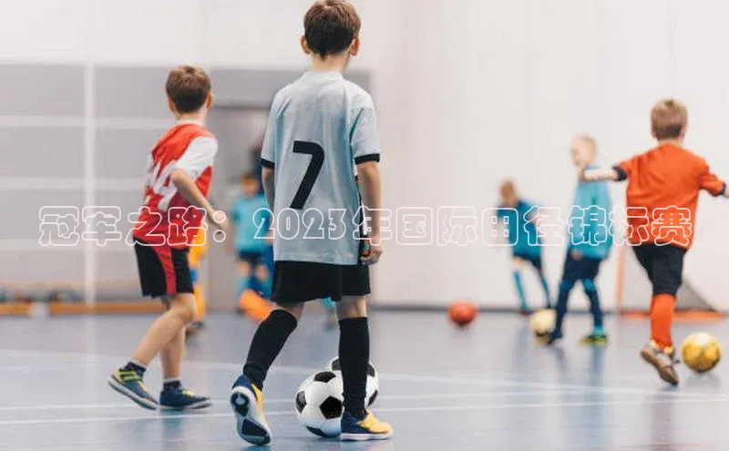 冠军之路：2023年国际田径锦标赛