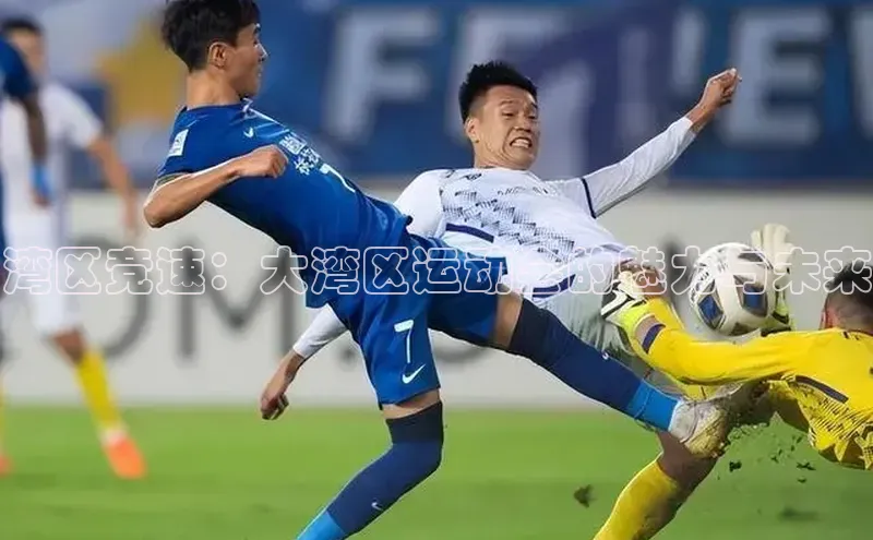 湾区竞速：大湾区运动会的魅力与未来