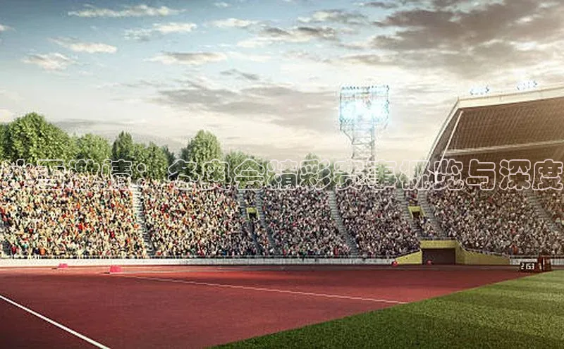 冰雪激情：冬奥会精彩赛事概览与深度