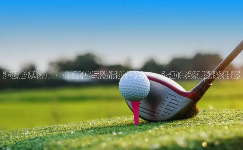 运动的魅力：一场竞技与激情的盛宴——运动会赛事精彩解说
