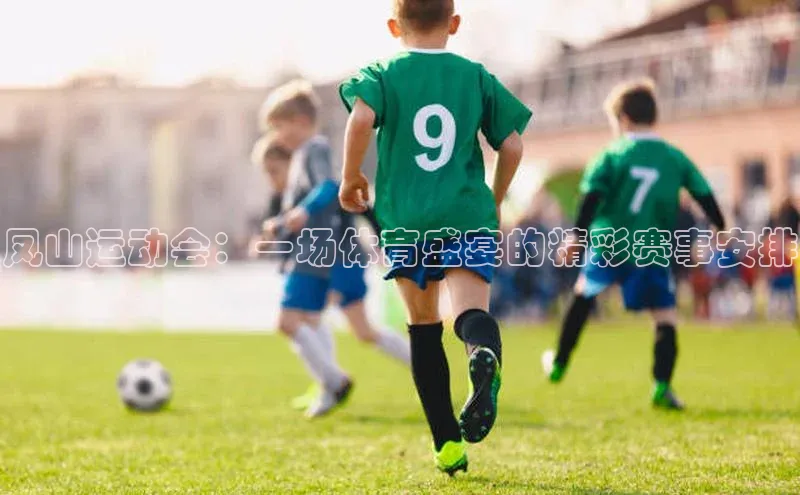 凤山运动会：一场体育盛宴的精彩赛事安排