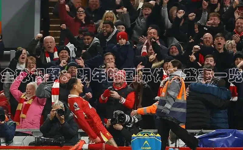 全球视野：明年的国际体育盛事一览