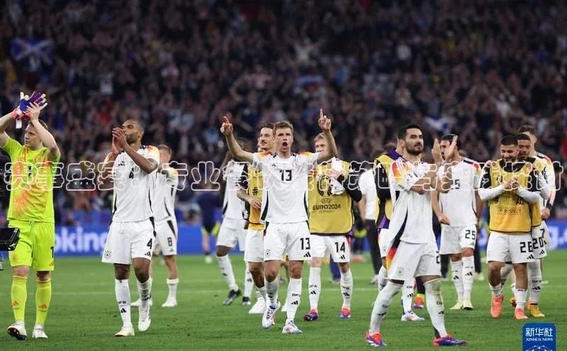 赛事盛宴：专业餐饮接待策略与实践探讨