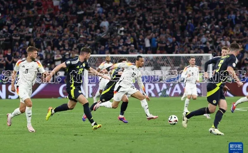 赛场大门：如何参与你的最爱的运动赛事