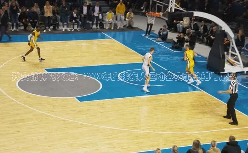 残奥精神的火炬：20XX年度残疾人运动会赛事总结与展望