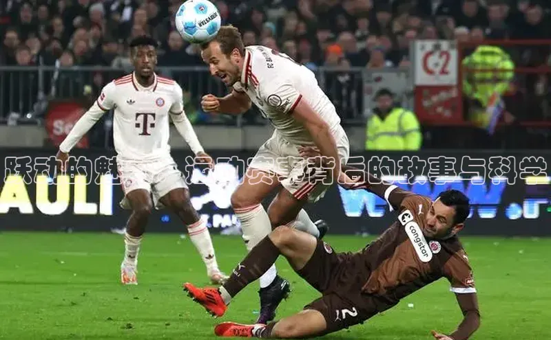 极悦平台官网入口